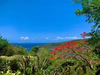 TheGrenadinesCollection