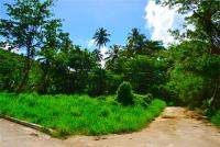 TheGrenadinesCollection