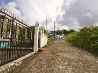 TheGrenadinesCollection