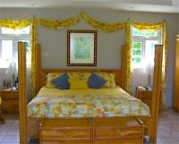 TheGrenadinesCollection