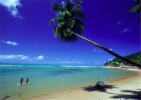 TheGrenadinesCollection