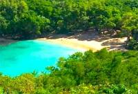 TheGrenadinesCollection