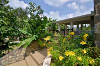 TheGrenadinesCollection