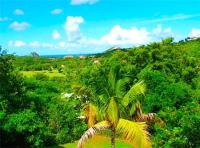 TheGrenadinesCollection