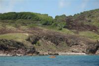 TheGrenadinesCollection