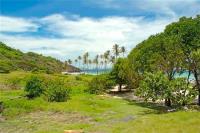 TheGrenadinesCollection