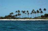 TheGrenadinesCollection