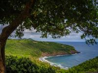 TheGrenadinesCollection