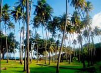 TheGrenadinesCollection