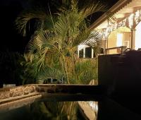 TheGrenadinesCollection