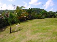 TheGrenadinesCollection