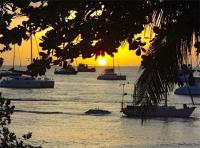 TheGrenadinesCollection