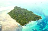 TheGrenadinesCollection