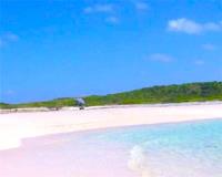 TheGrenadinesCollection