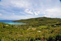 TheGrenadinesCollection