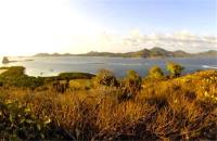 TheGrenadinesCollection