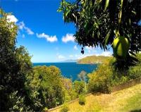 TheGrenadinesCollection