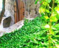 TheGrenadinesCollection