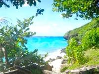 TheGrenadinesCollection