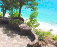 TheGrenadinesCollection