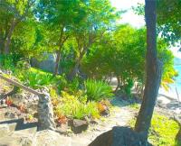 TheGrenadinesCollection