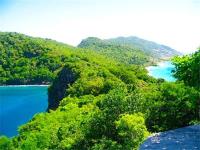 TheGrenadinesCollection