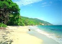 TheGrenadinesCollection