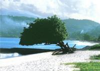 TheGrenadinesCollection