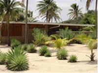 TheGrenadinesCollection