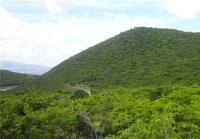 TheGrenadinesCollection