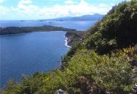 TheGrenadinesCollection