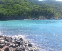 TheGrenadinesCollection