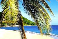 TheGrenadinesCollection