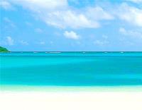 TheGrenadinesCollection