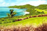 TheGrenadinesCollection