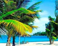 TheGrenadinesCollection