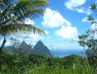 TheGrenadinesCollection