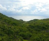 TheGrenadinesCollection