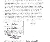 TheGrenadinesCollection