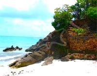 TheGrenadinesCollection