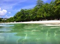 TheGrenadinesCollection