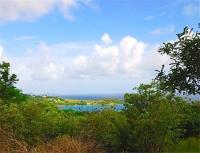 TheGrenadinesCollection