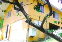 TheGrenadinesCollection