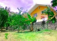 TheGrenadinesCollection