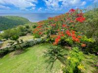 TheGrenadinesCollection