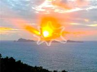 TheGrenadinesCollection