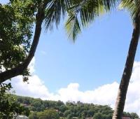 TheGrenadinesCollection