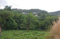 TheGrenadinesCollection