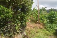 TheGrenadinesCollection