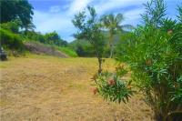 TheGrenadinesCollection